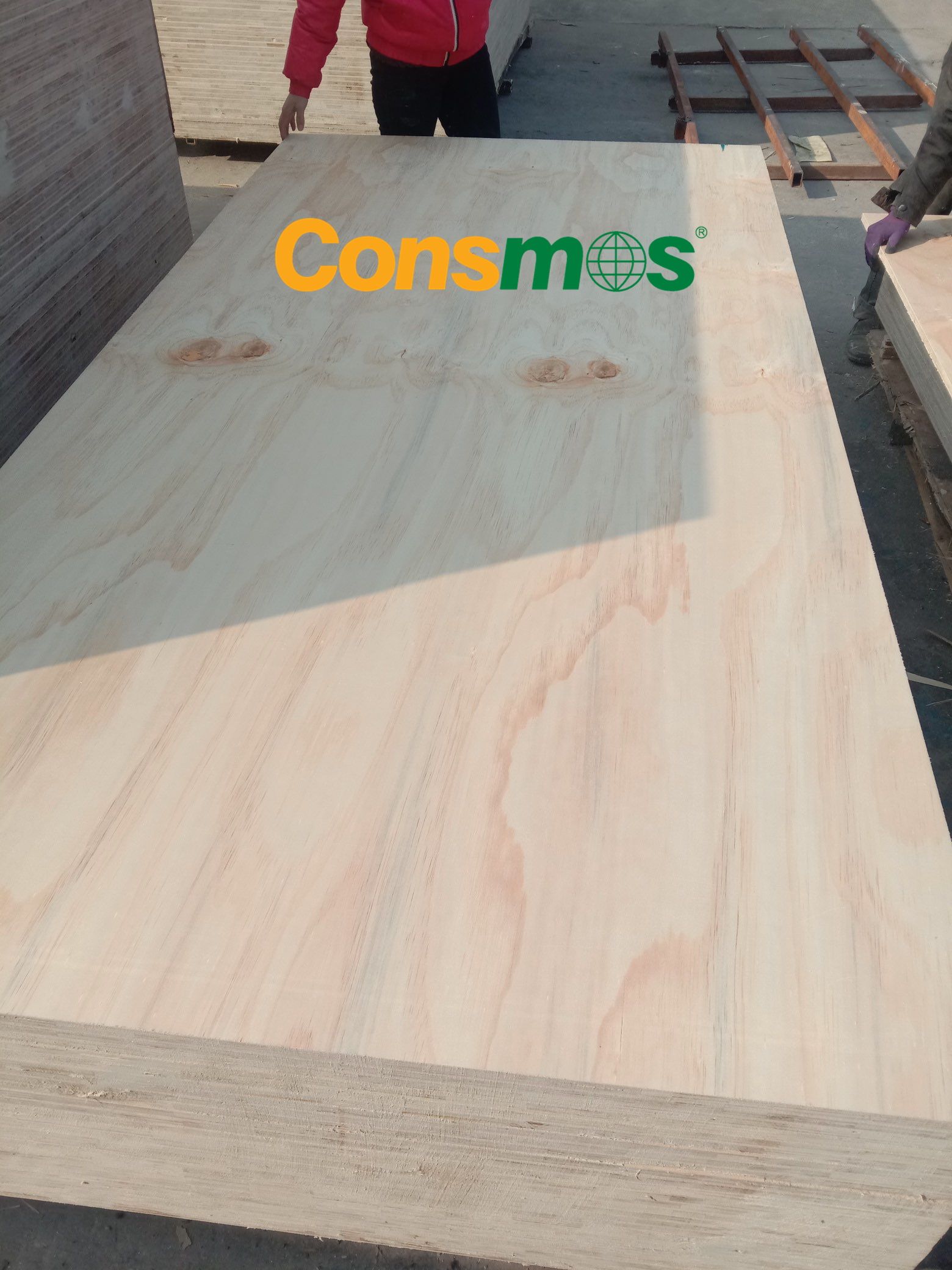 CDX plywood
