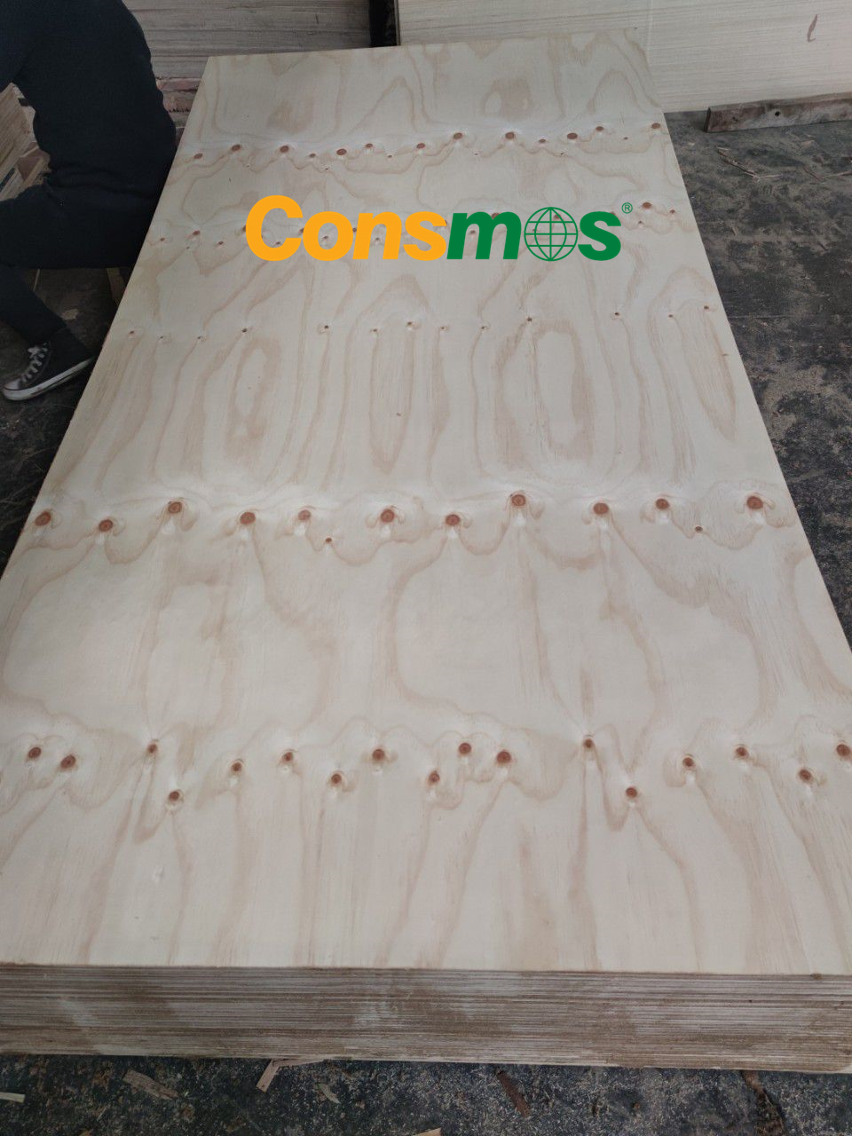 CDX Plywood CDX Pine plywood for construstion structral