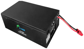 Lithium lron Phosphate (LiFePO4) Battery
