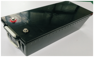 Lithium lron Phosphate (LiFePO4) Battery