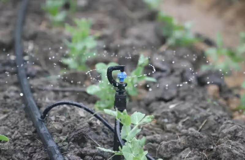 G type plastic micro sprinkler for irrigation