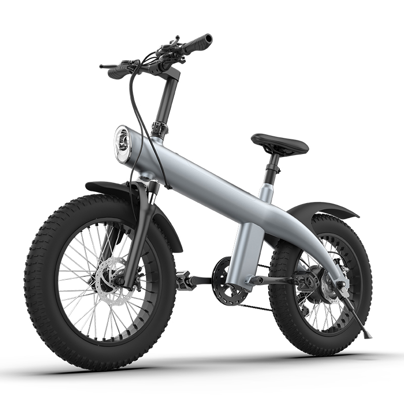 New Arrival 750W Motor 20 Inch Off-Road Tire Electric Bike Electric Mountain Bike
