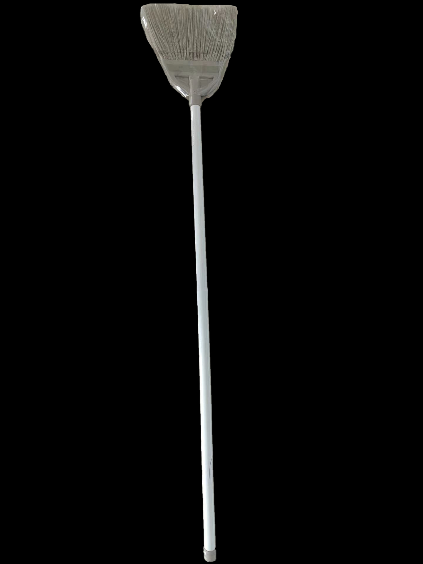 Palmyra Broom
