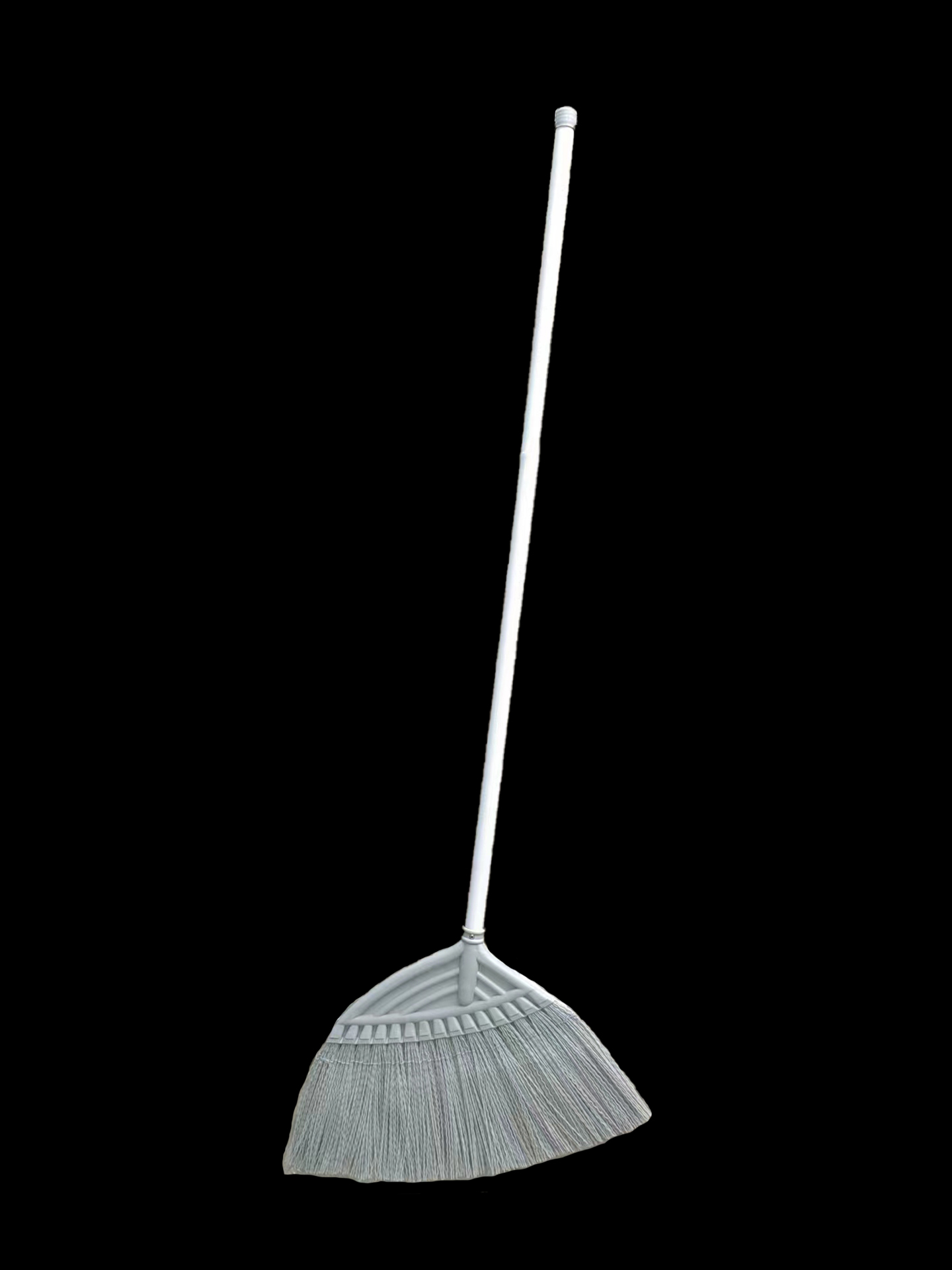 Palmyra Broom