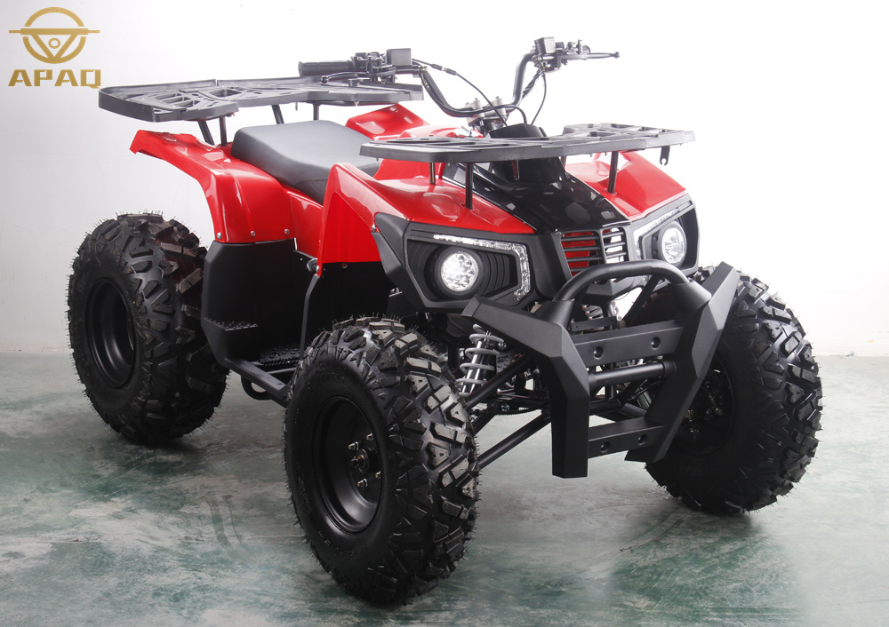 APAQ adult 200cc 250cc 300cc automatic ATV quad bike