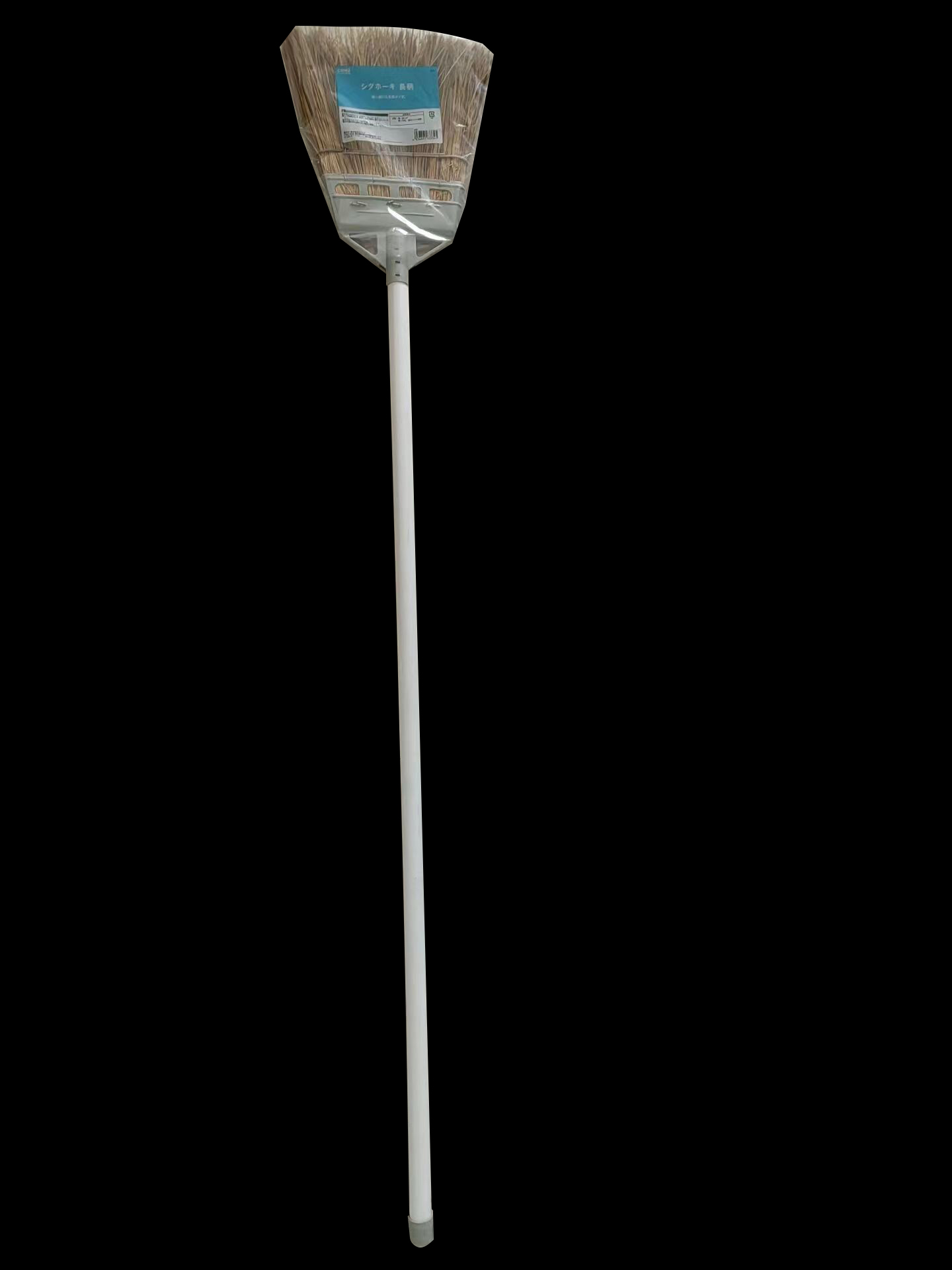 Palmyra Broom