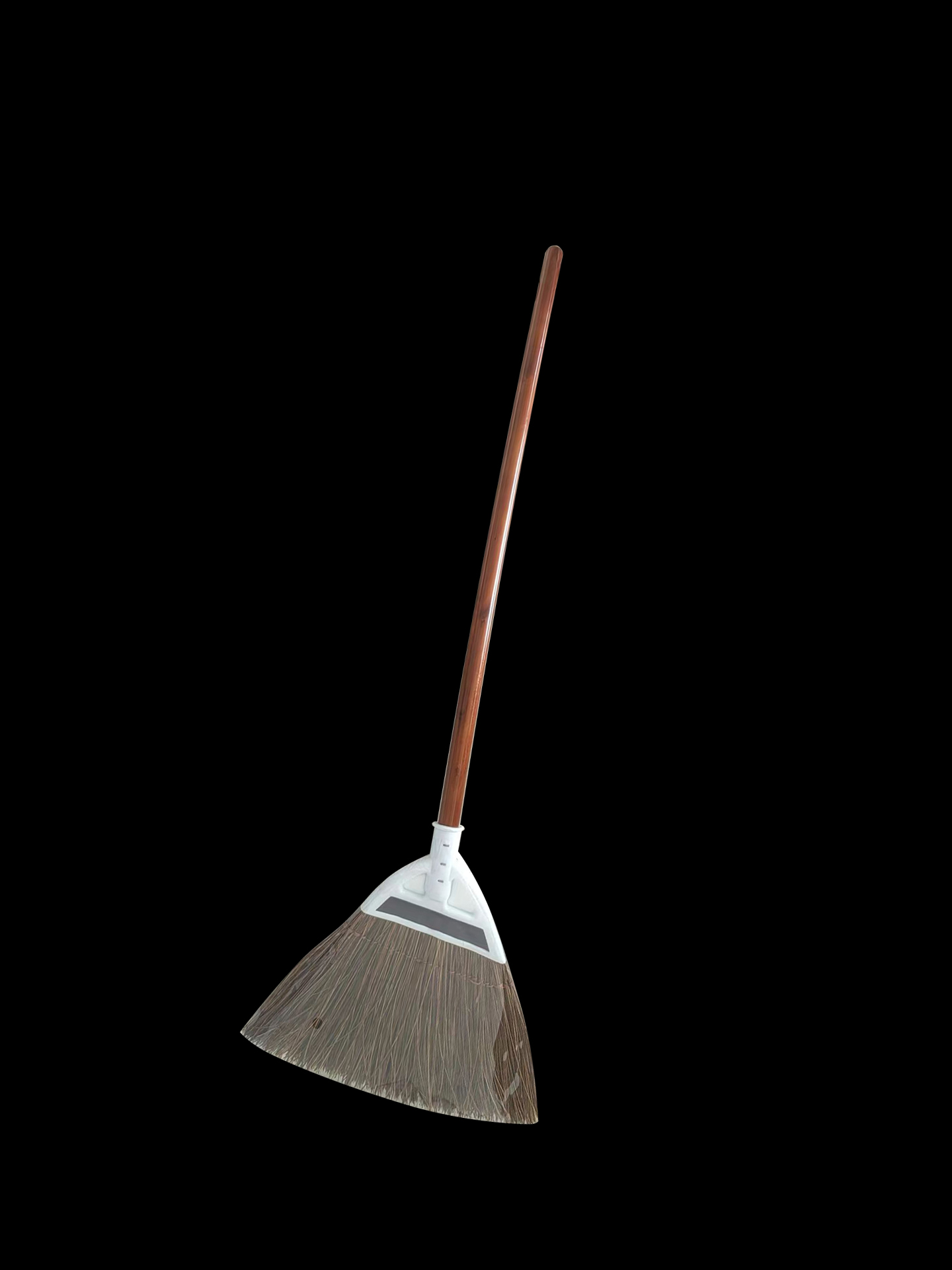 Palmyra Broom