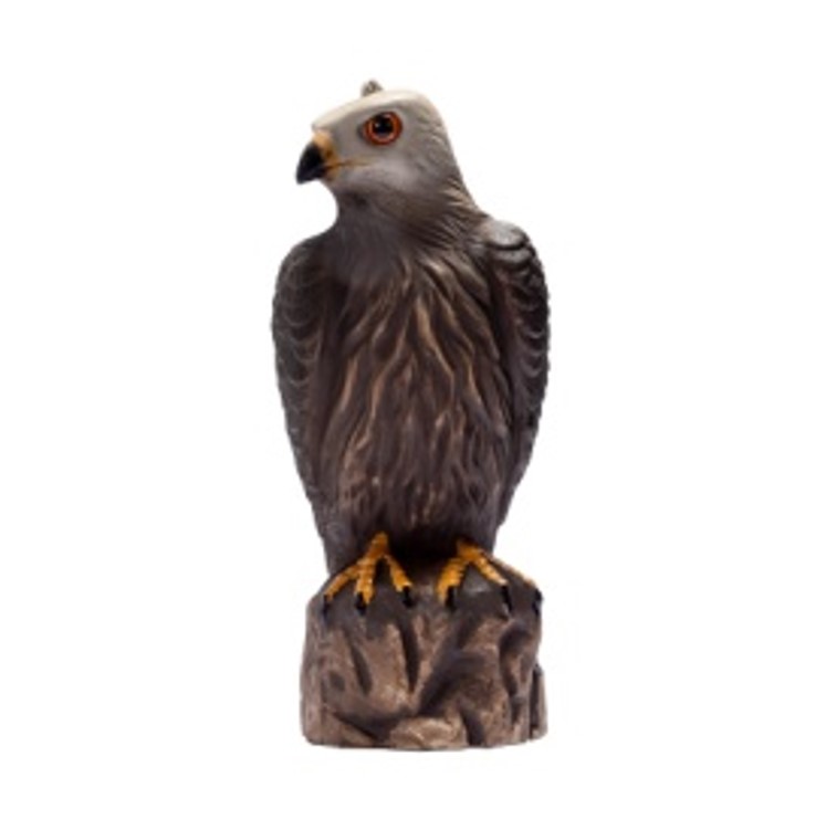 Pest Control, eagle, Garden decoration eagle