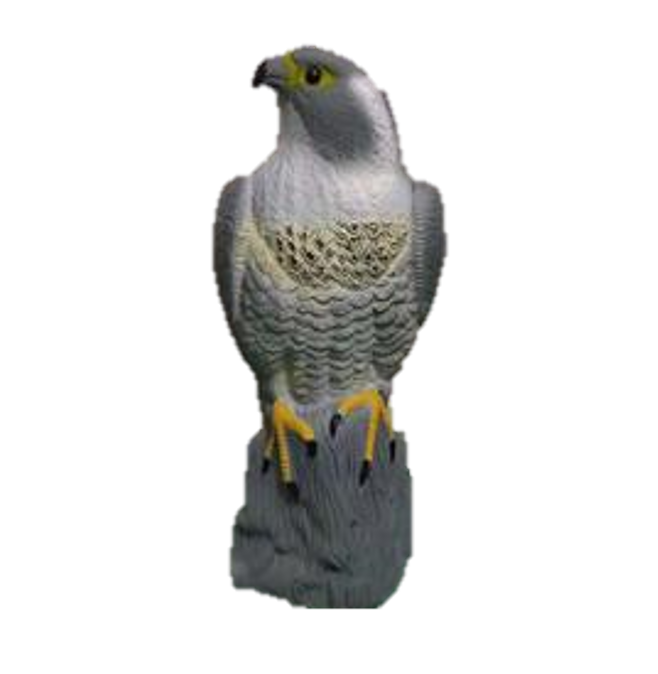Pest Control, eagle, Garden decoration eagle
