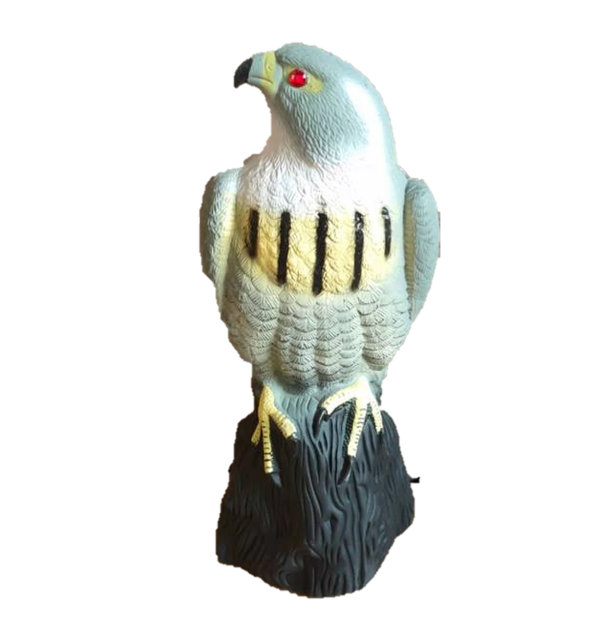 Pest Control, eagle, Garden decoration eagle