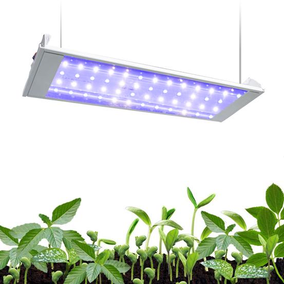 Xiaogan Raylux Lighting – vela aromática 2
