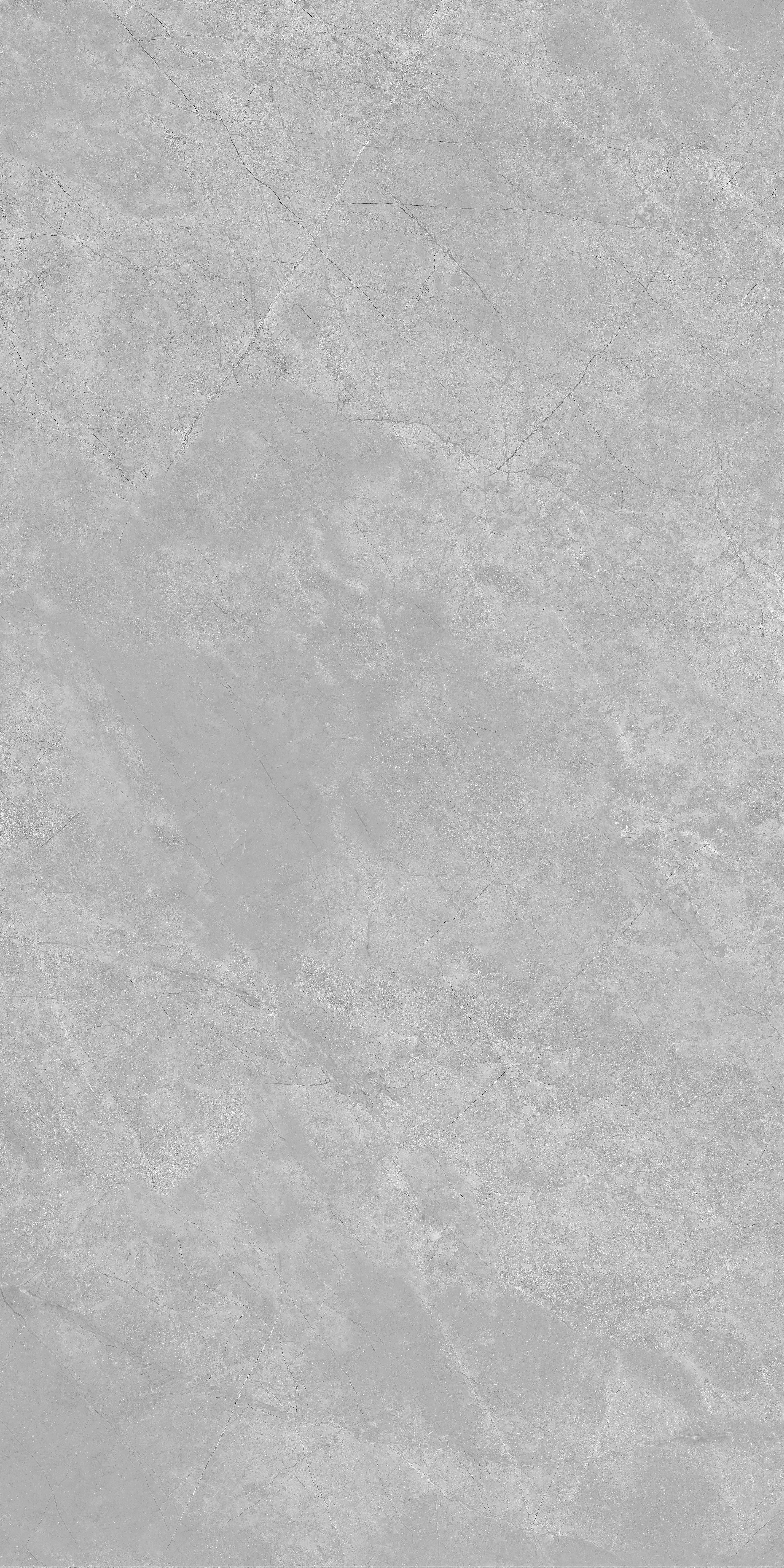 Cygnus Grey