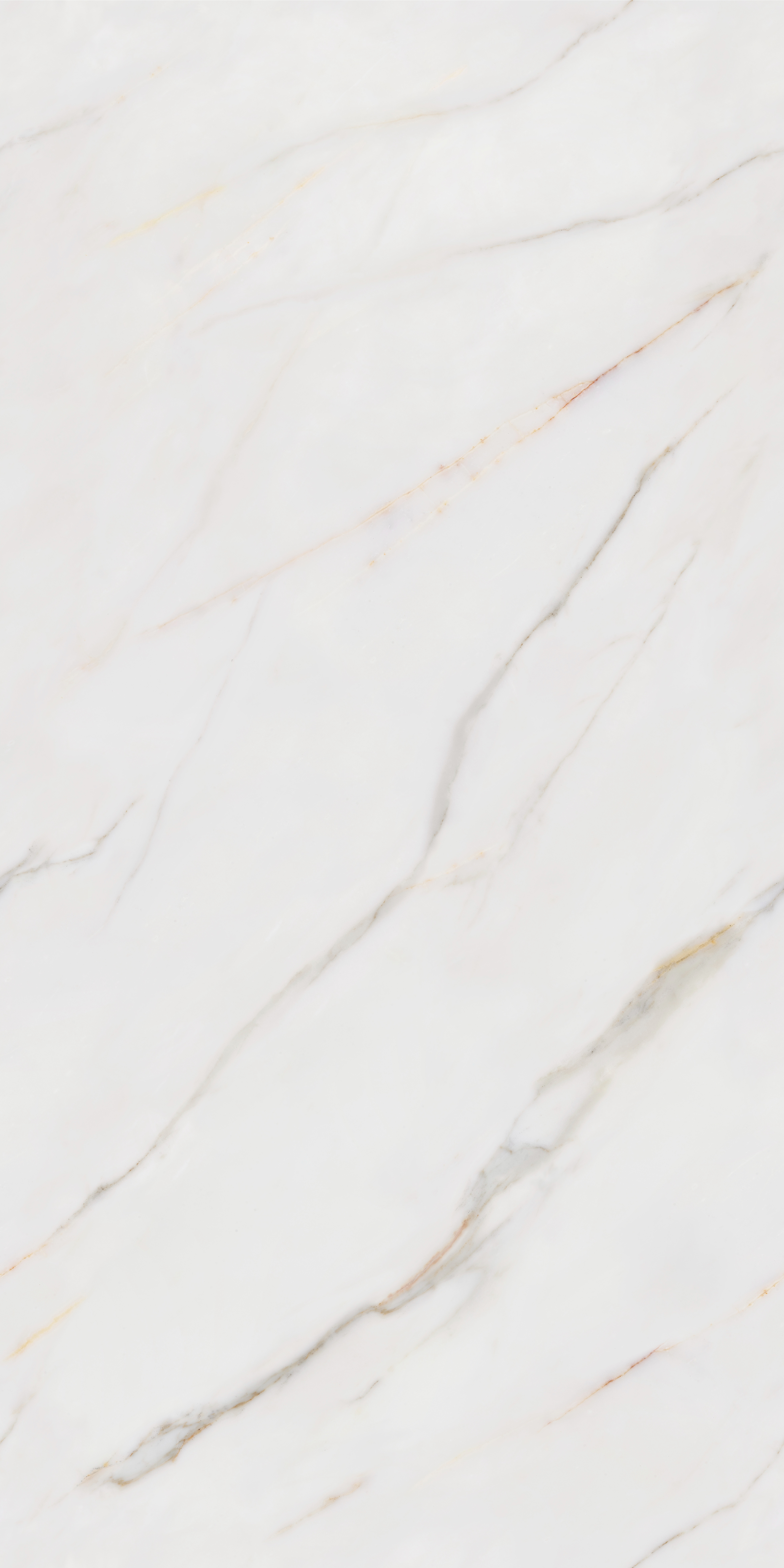 Calacatta Gold Honed