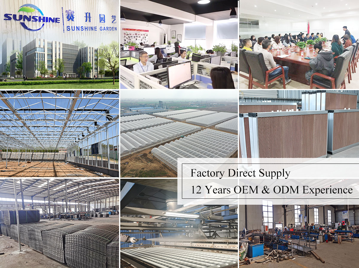 Taizhou Saisheng Horticulture Supplies Co., Ltd. – other garden supplies 2