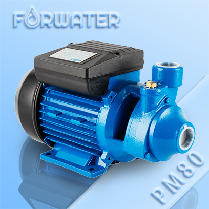 PM Series Peripheral Water Pump