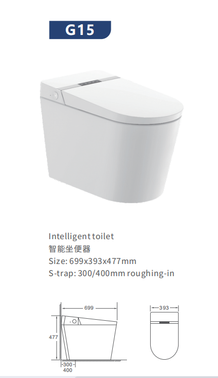 Smart Toilet