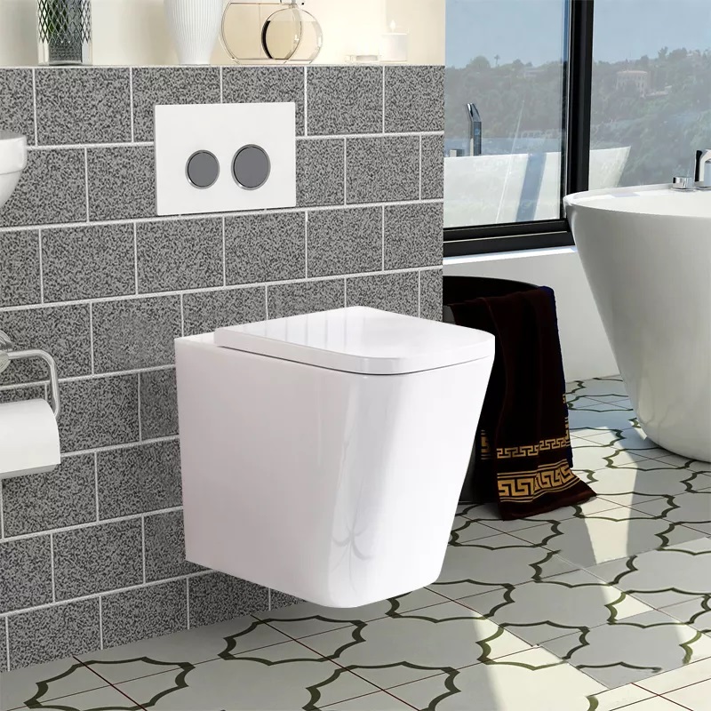 Wall hung toilet