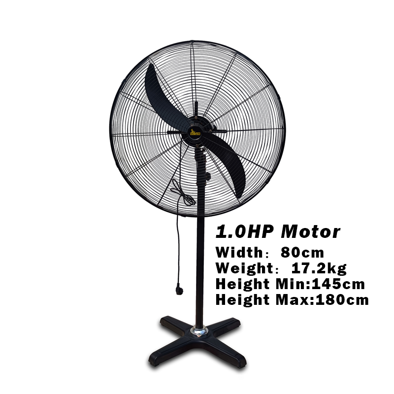 1.0HP 80cm Electric Fan