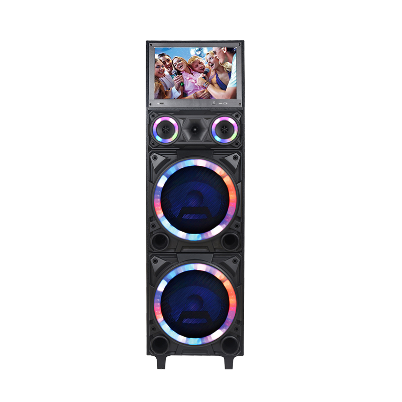 Guangzhou Huaxing Electrical Appliance Karaoke DJ with Screen touch 2*10 PA speaker