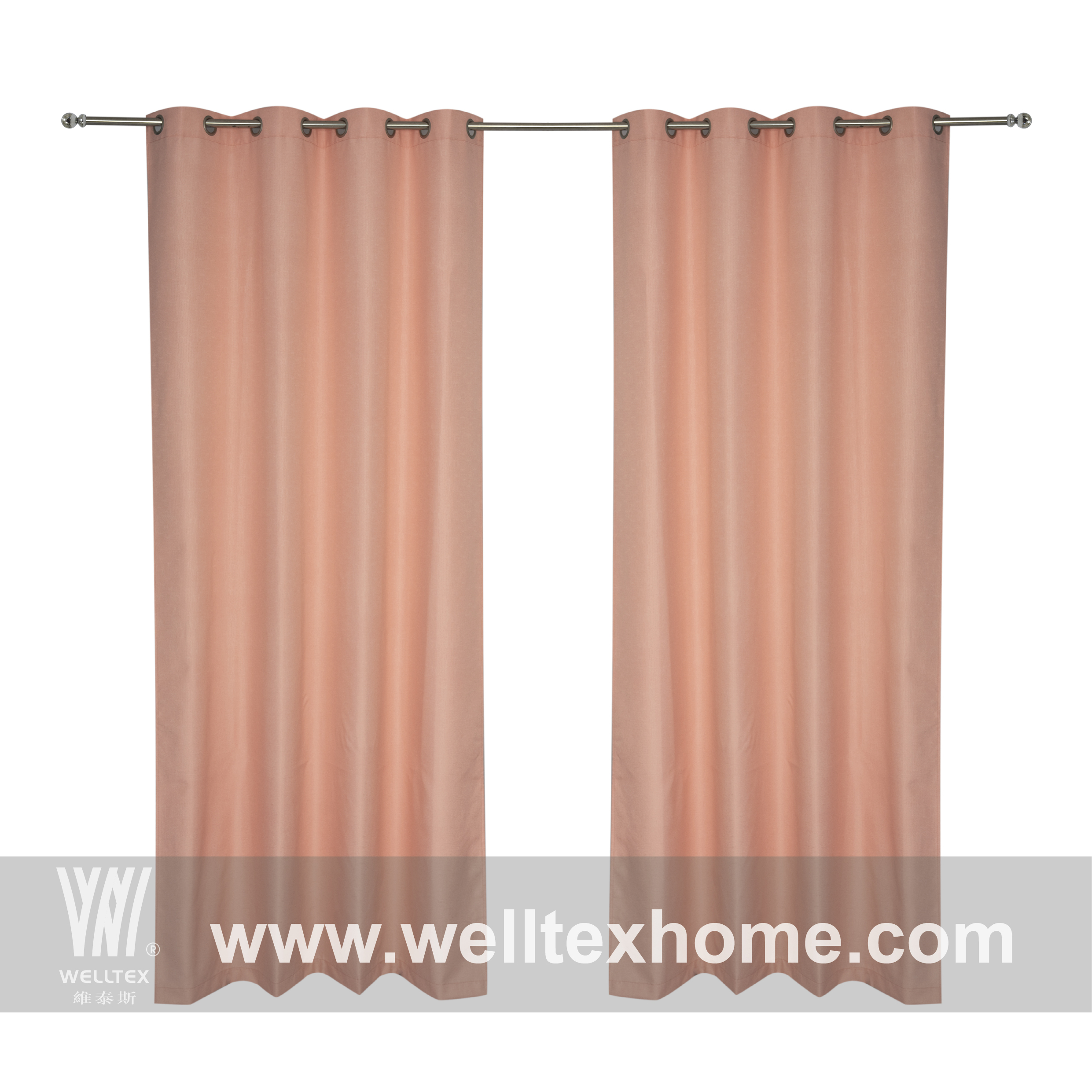 Curtain with rings