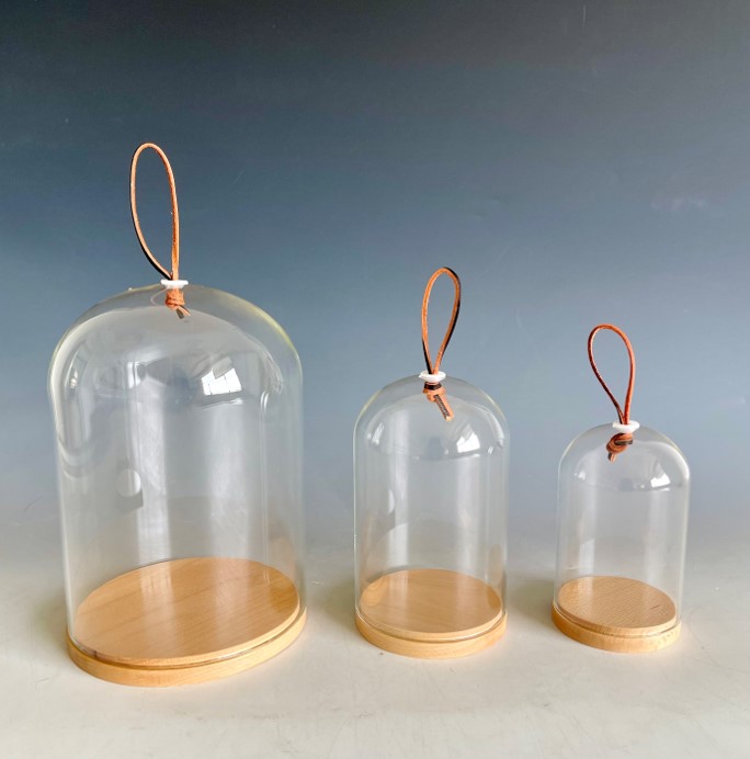 Borosilicate glass dome with wood base