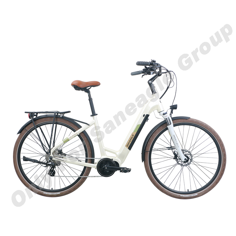 Ebike lady ZNH-E-2228