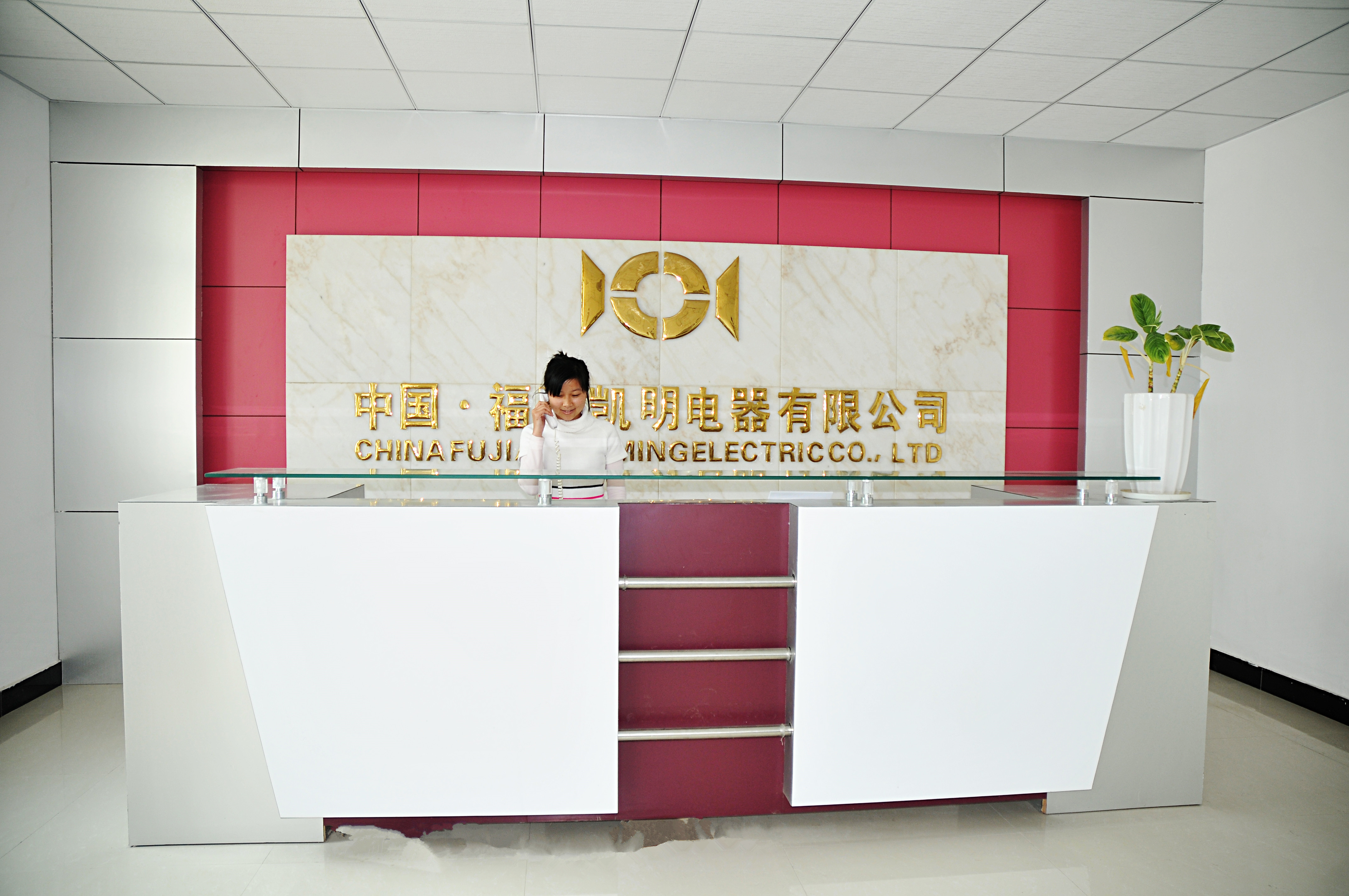 Fujian Kaiming Electrical Equipment Co., Ltd. – juicer 3
