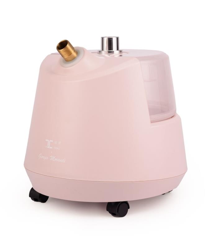 2022 latest new design all-in-one 2200W powerful professional use vertical garment steamer