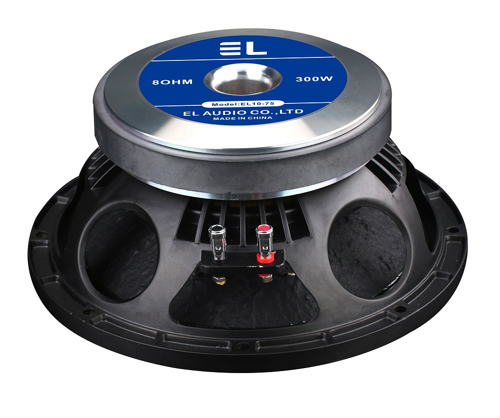 10 inch home theather ktv entertainment audio sound system speaker unit