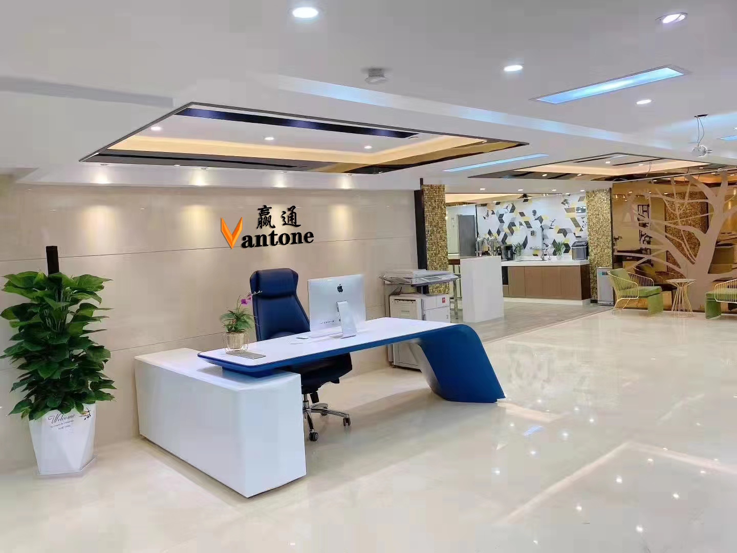 Shenzhen Huatongxin Industrial Co., Ltd. – Women's leather shoes 1