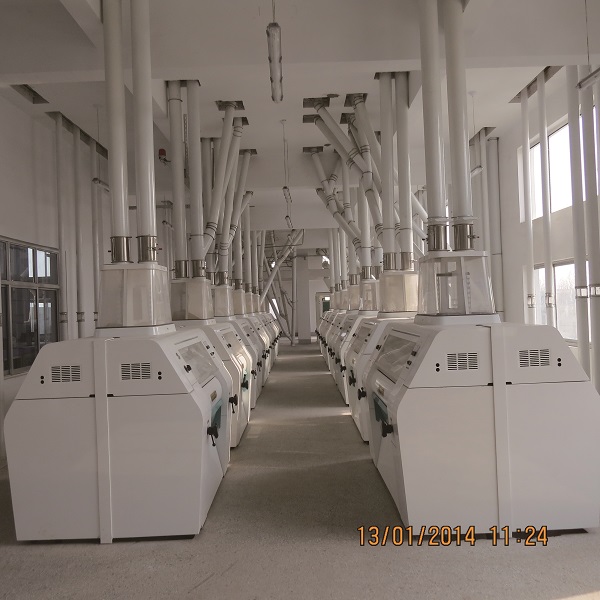 shandong xingfeng flour machine maize mill