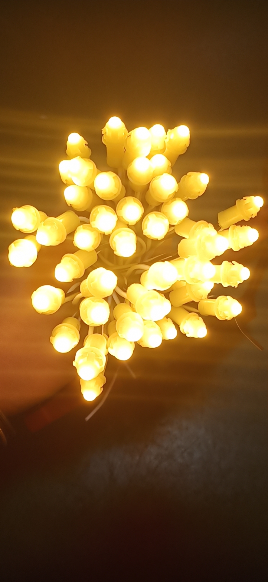 Jiangsu Yuda Lighting Technology Co.,Ltd. – String light 1