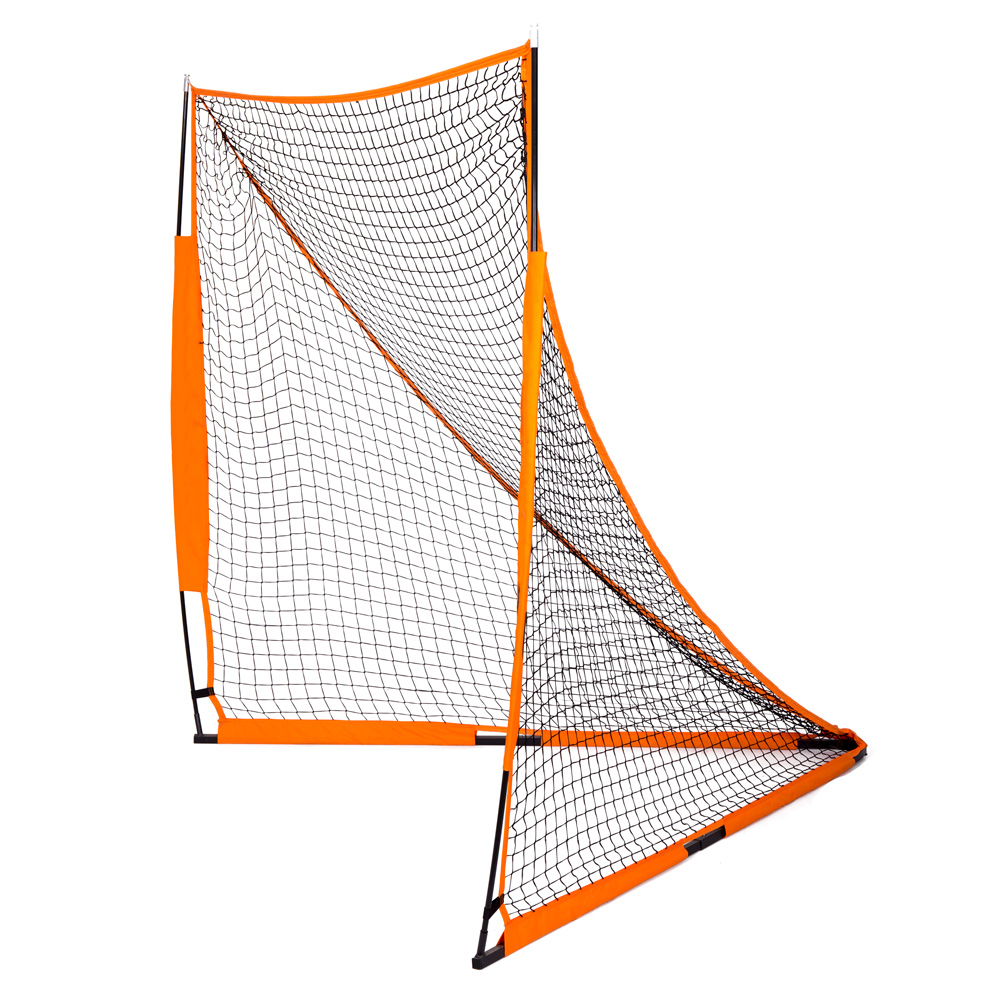Baseball goal