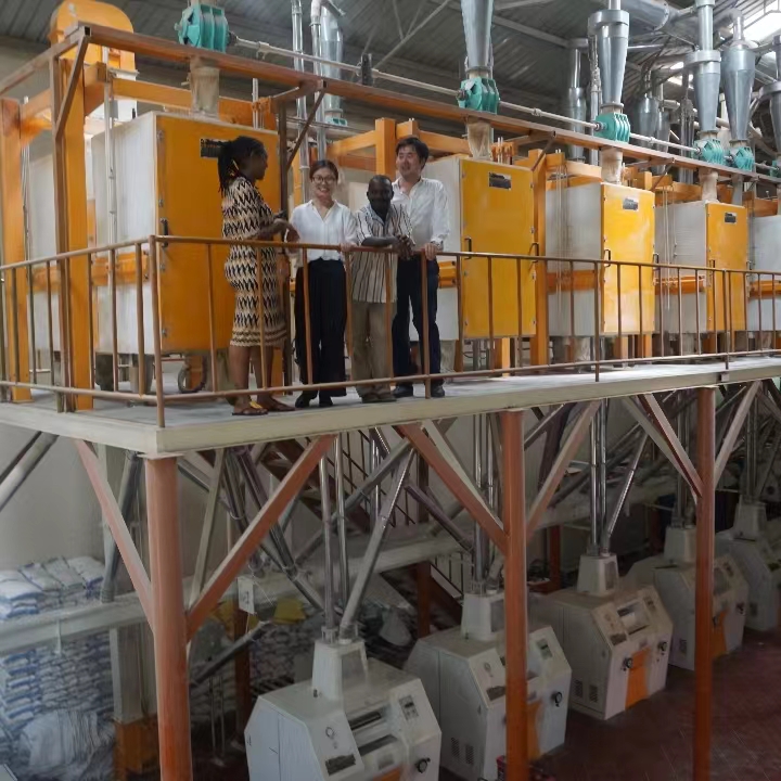 30TPD wheat flour milling machine