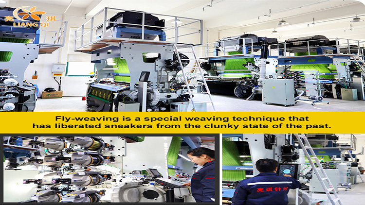 Luoyang Liangqi Knitting Co., Ltd. – health shoes 3