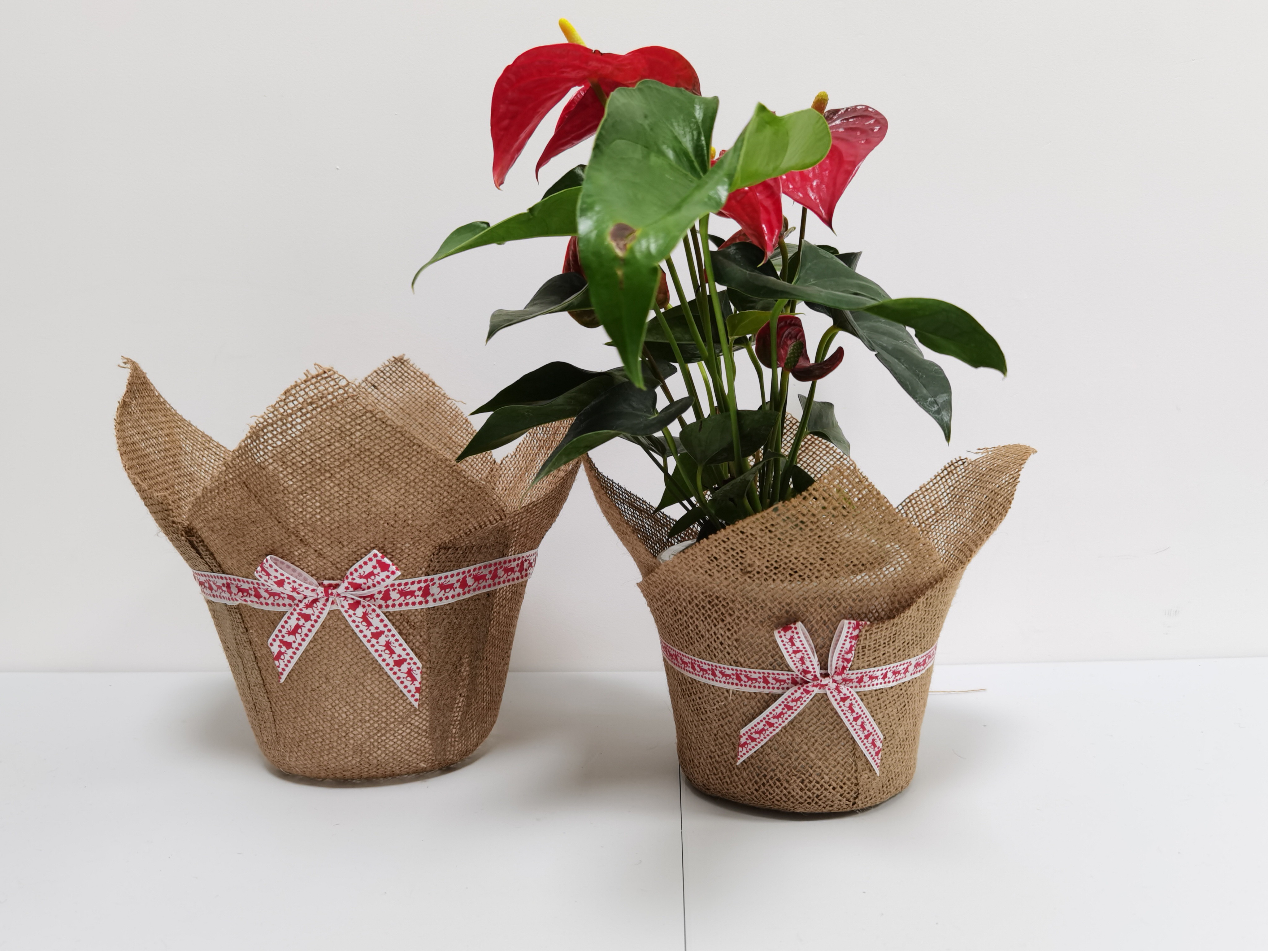 Jute Flower Pot Cover