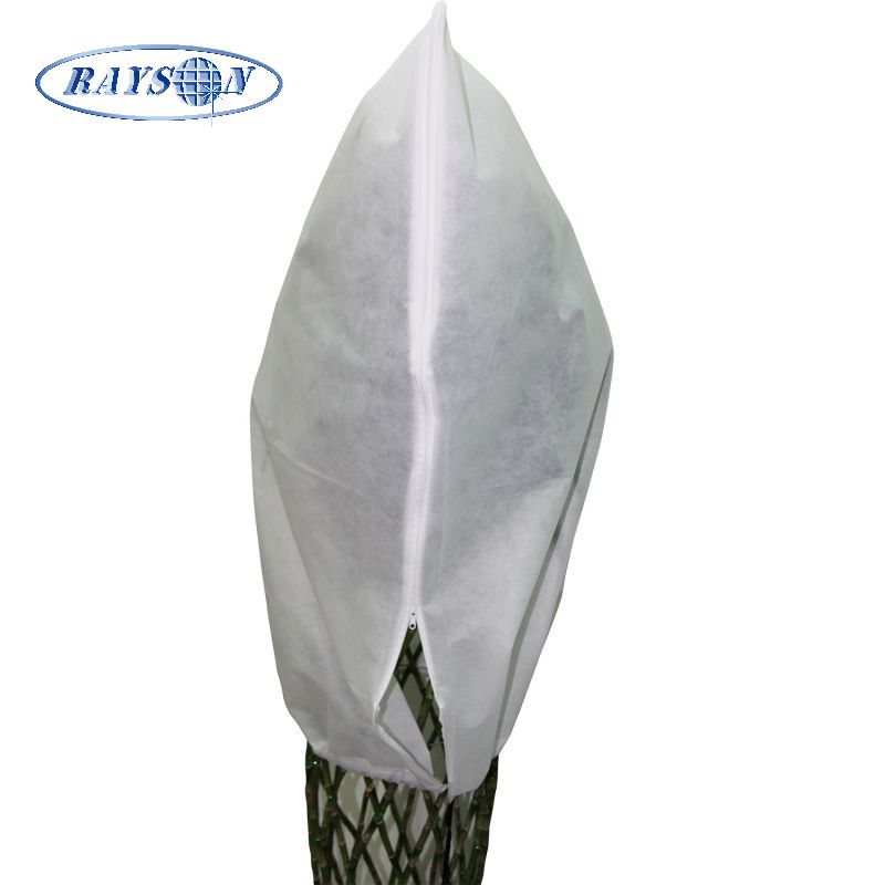 plant's bag