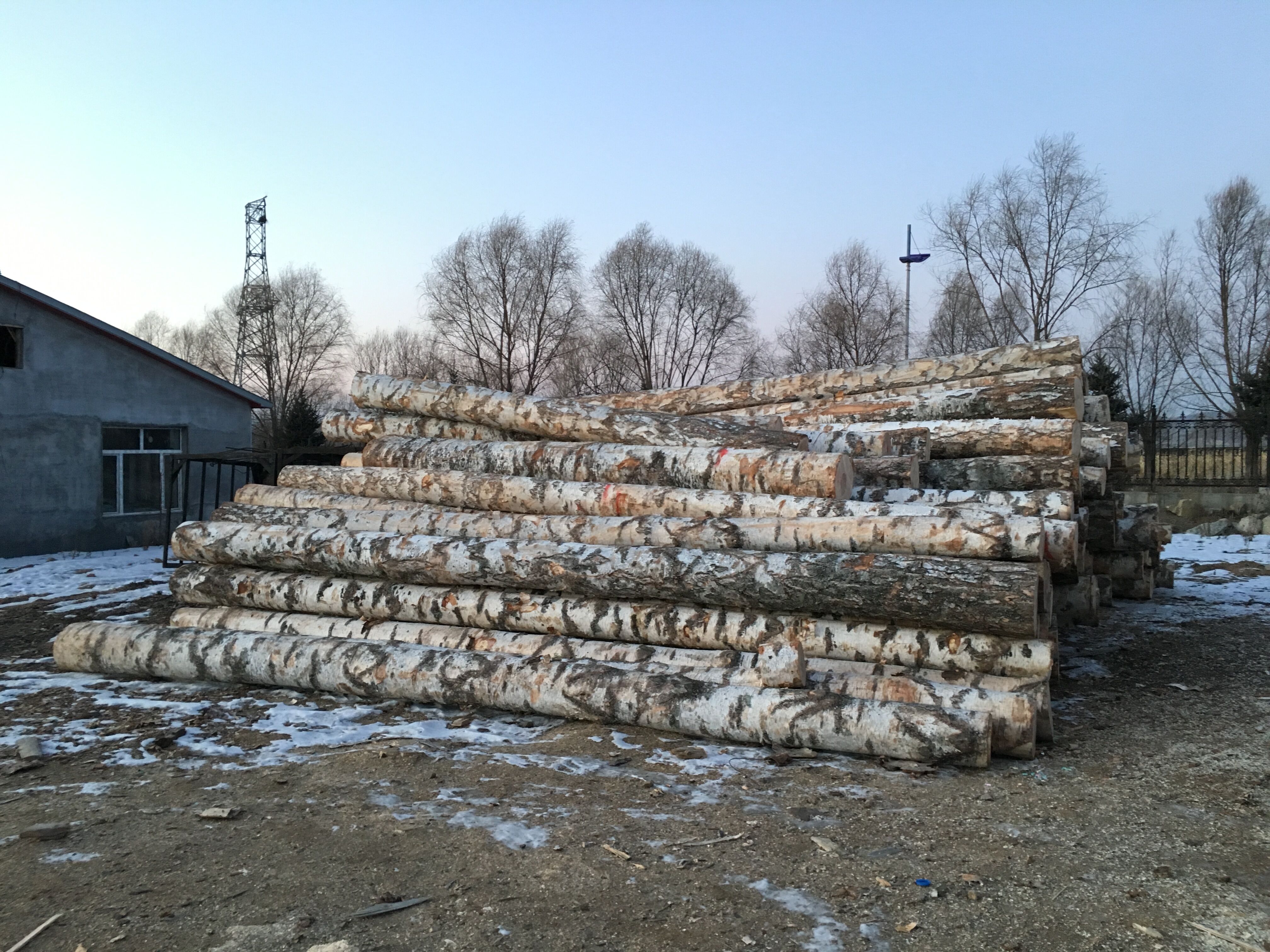 Heilongjiang Jiushun Trading Co., Ltd. – Photos produits 2