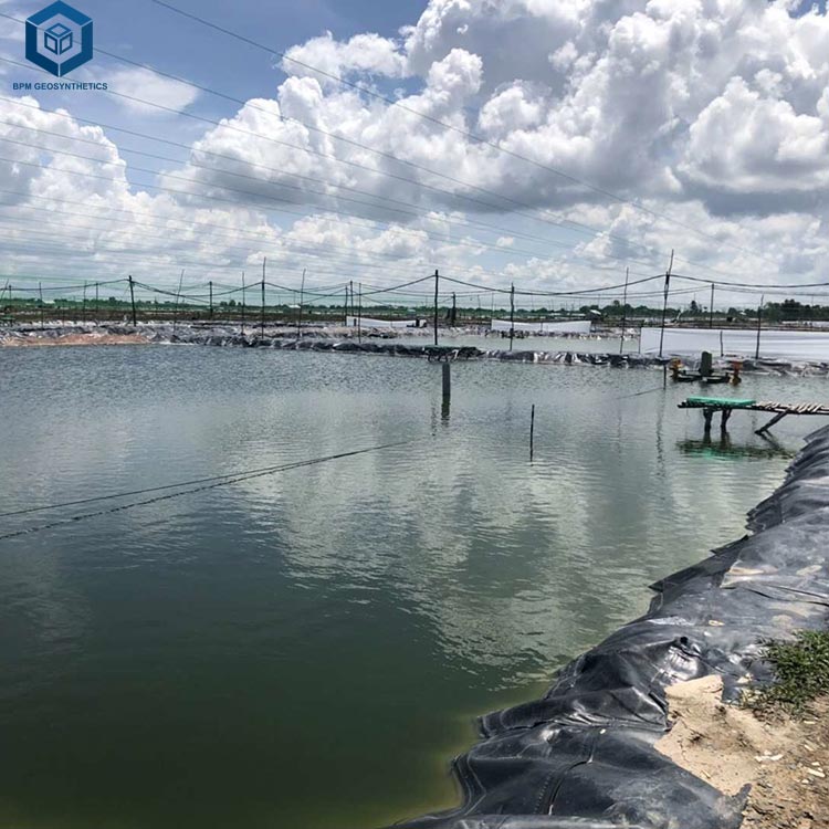 Polyethylene Fish Pond Liner Impermeable Geomembrane Ditch Liner Black Geomembrane Pond Liner Price