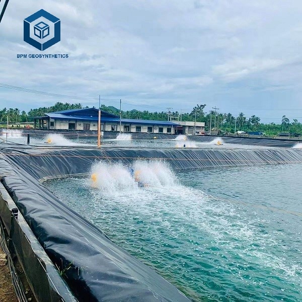 Fish Shrimp Pond Liner Geomembrane for Aquaculture