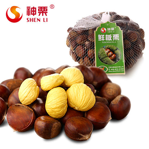 chestnut