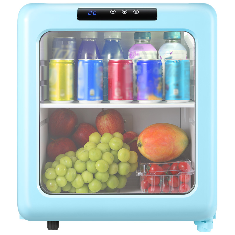 Thermoelectric Silent Retro Refrigerator