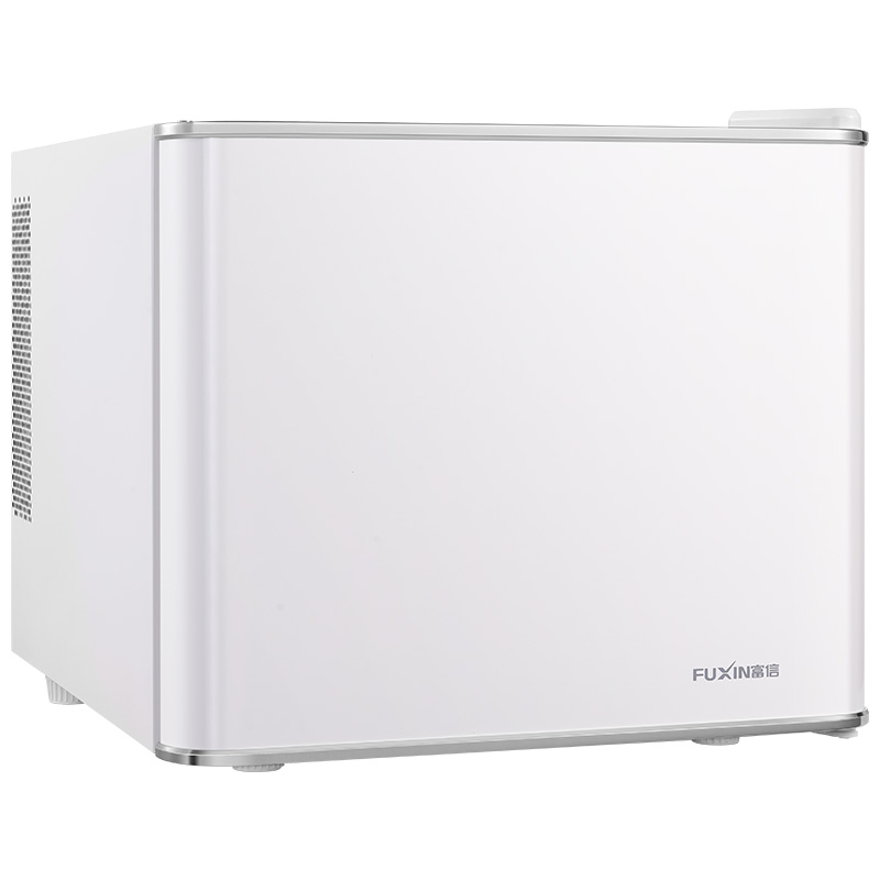 Thermoelectric Retro Fridge