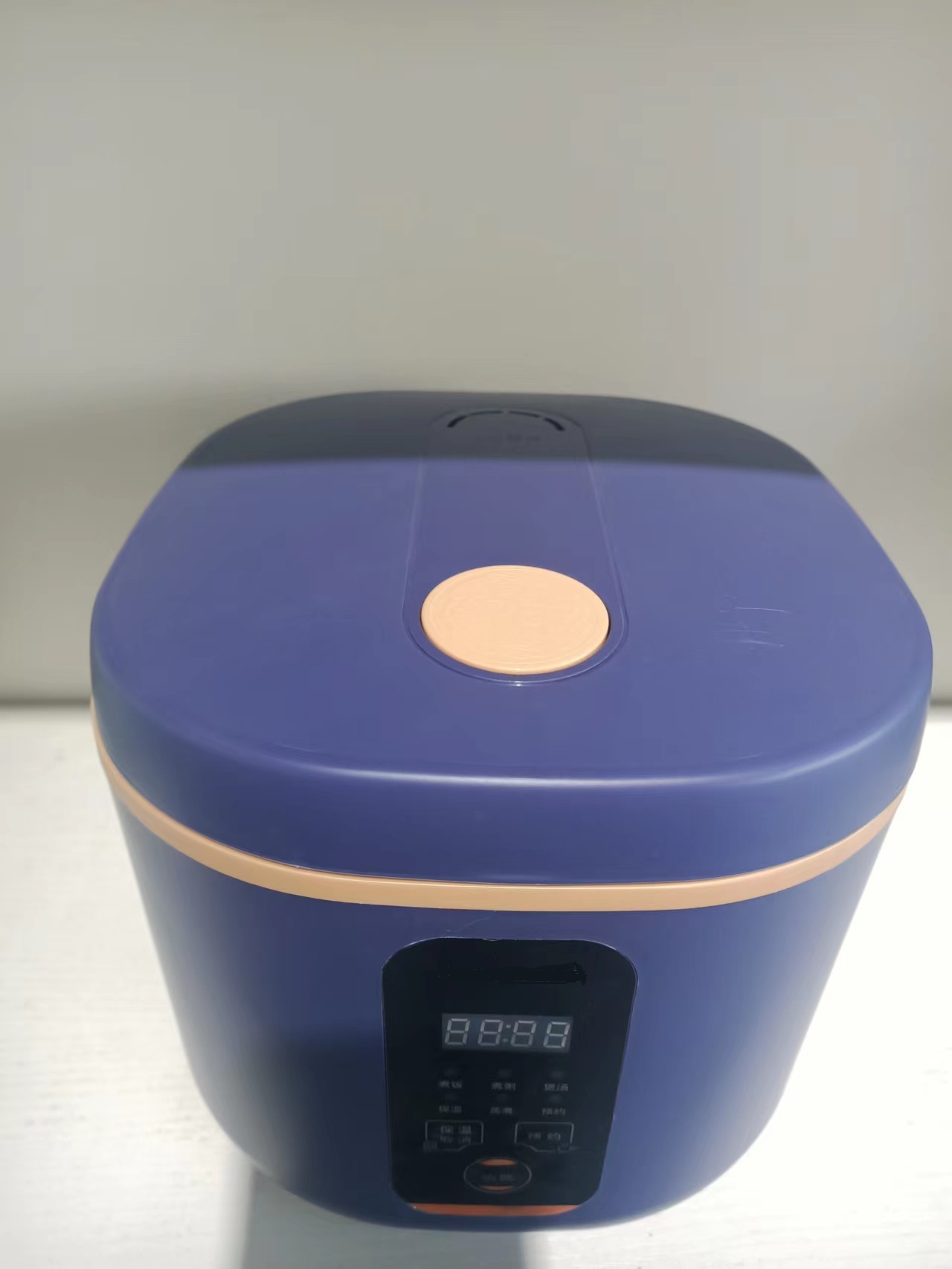 Electric rice cooker