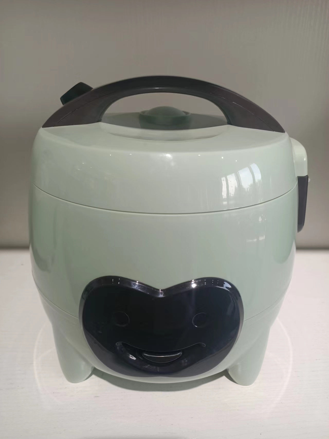 Mini rice cooker