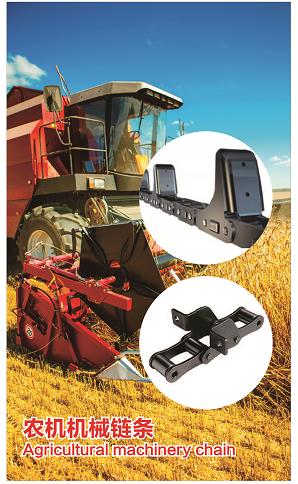 Agricultural Chain