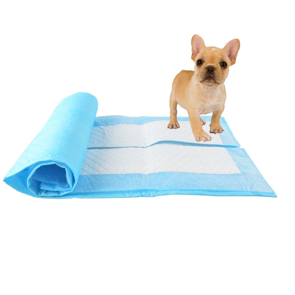 Good absorption Puppy pad