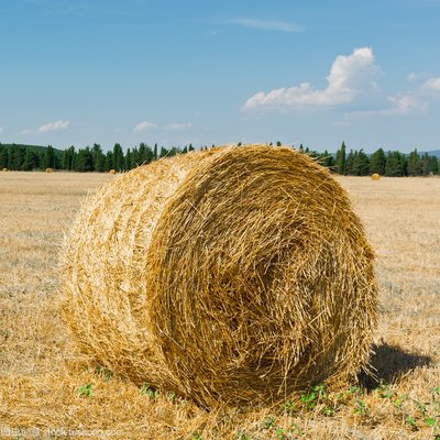 bale net wrap