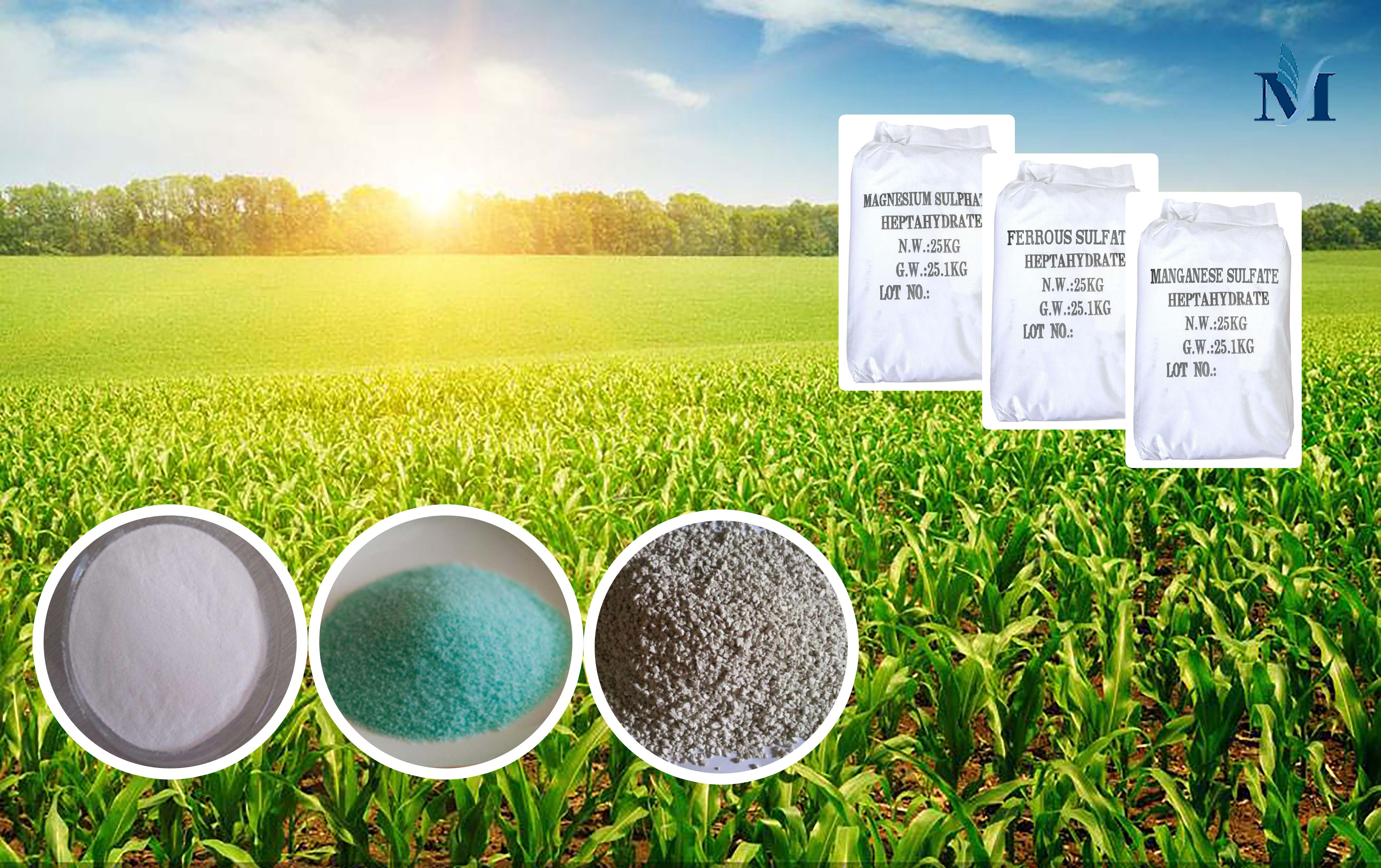 Zinc sulphate