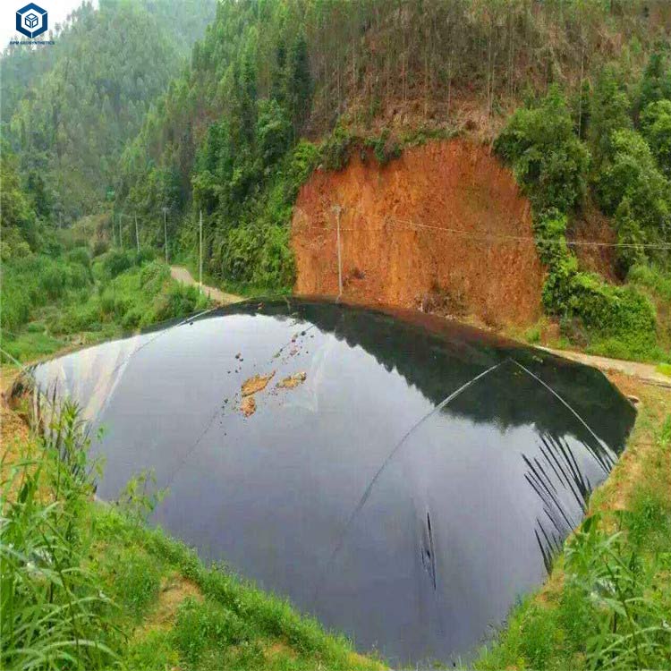 BPM geomembrane Pond Liner